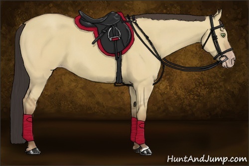 Horse Color:Amber Champagne Dun 