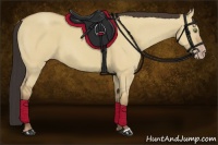 Horse Color:Amber Champagne Dun