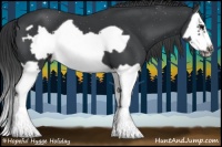 Horse Color:Black Splash Frame