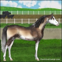 Horse Color:Liver Red Onyx Sabino Splash 