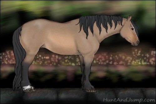 Horse Color:Bay Roan Dun Sabino