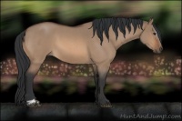 Horse Color:Bay Roan Dun Sabino 