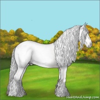 Horse Color:Gray White Spotted Sable Champagne Dun