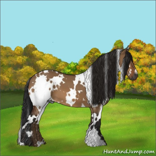 Horse Color:Gray White Spotted Bay Dun