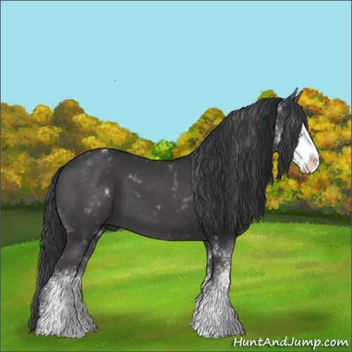 Horse Color:Black Sabino 