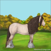 Horse Color:Amber Champagne Roan Sabino 