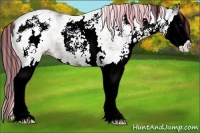 Horse Color:Painted White Spotted Brown Splash 