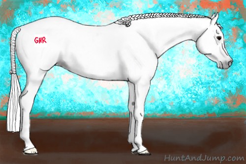 Horse Color:Gray Black 
