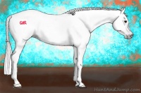 Horse Color:Gray Black 