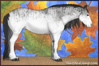 Horse Color:White Spotted Blue Roan Rabicano  and White Spotted Blue Roan Rabicano 
