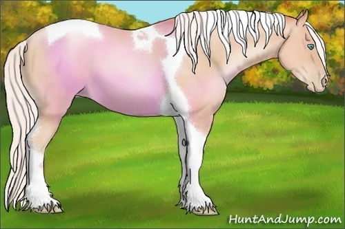 Horse Color:Silver Sable Champagne Pearl Tobiano 