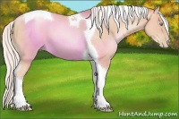 Horse Color:Silver Sable Champagne Pearl Tobiano 