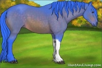 Horse Color:Watercolor Brown Tobiano 