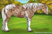 Horse Color:Silver Brown Sabino Tobiano  and Watercolor Silver Bay Pearl Tobiano 
