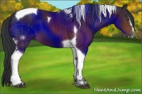 Horse Color:Brown Sabino Tobiano 