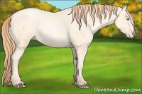 Horse Color:Amber Cream Champagne Pearl 