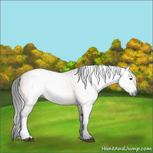 Horse Color:Gray Bay Dun