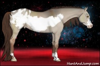Horse Color:Liver Red Dun Frame Varnish