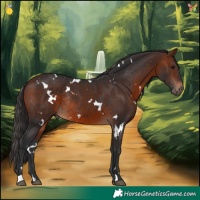 Horse Color:White Spotted Brown Rabicano 
