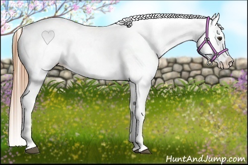 Horse Color:Red Dun Varnish