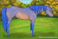 Horse Color:Watercolor Brown Sabino 
