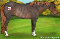 Horse Color:Liver Red Roan Rabicano 