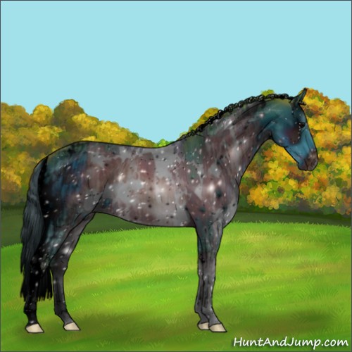 Horse Color:ERROR: UNKNOWN ANOMALY