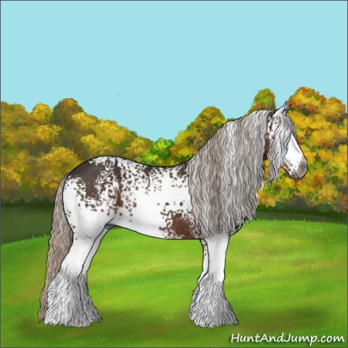 Horse Color:Gray White Spotted Silver Black 