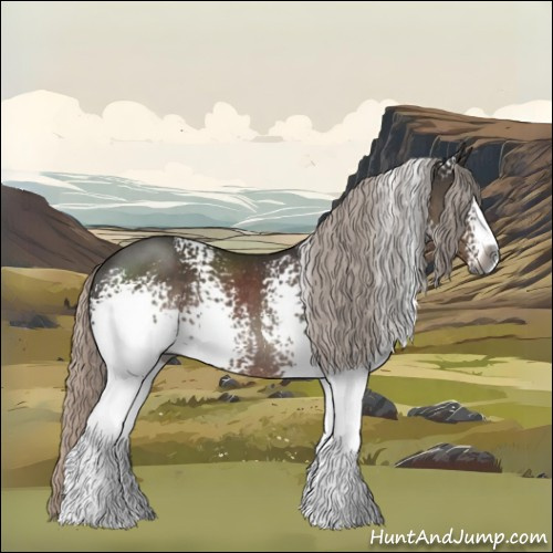 Horse Color:Gray White Spotted Silver Black Sabino Rabicano