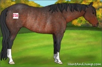 Horse Color:Brown Rabicano 