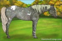 Horse Color:Platinum Watercolor White Spotted Midnight Chocolate Silver Black Ice Appaloosa Rabicano