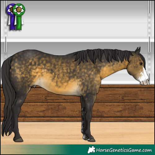 Horse Color:Buckskin Sabino 