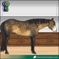 Horse Color:Buckskin Sabino 