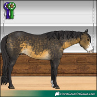 Horse Color:Buckskin Sabino