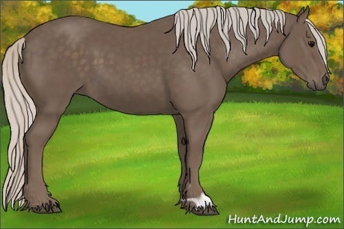 Horse Color:Silver Black 