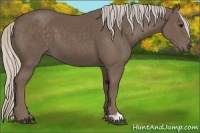 Horse Color:Silver Black 