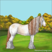 Horse Color:White Spotted Classic Champagne Pearl 