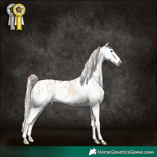 Horse Color:Red Dun Splash Rabicano  and Silver Grullo Tobiano Varnish Rabicano 