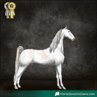 Horse Color:Red Dun Splash Rabicano  and Silver Grullo Tobiano Varnish Rabicano 