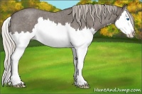 Horse Color:Silver Blue Roan Splash 
