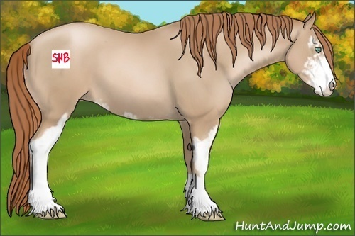 Horse Color:Smoky Black Pearl Sabino 