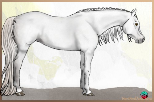 Horse Color:Gray Silver Bay Tobiano 