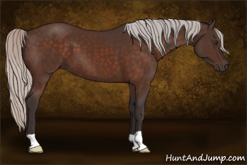 Horse Color:Silver Brown