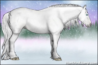 Horse Color:Gray Palomino Pearl 