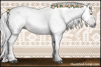 Horse Color:Gray Chestnut 