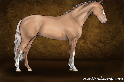 Horse Color:Silver Sable Champagne