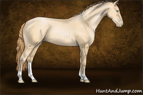 Horse Color:Buckskin Pearl 