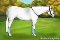 Horse Color:Gray Silver Black Splash 