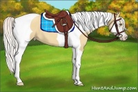 Horse Color:Silver Classic Champagne Dun Splash Tobiano Frame