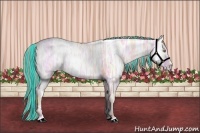 Horse Color:Painted Watercolor Gold Champagne Ice Dun 